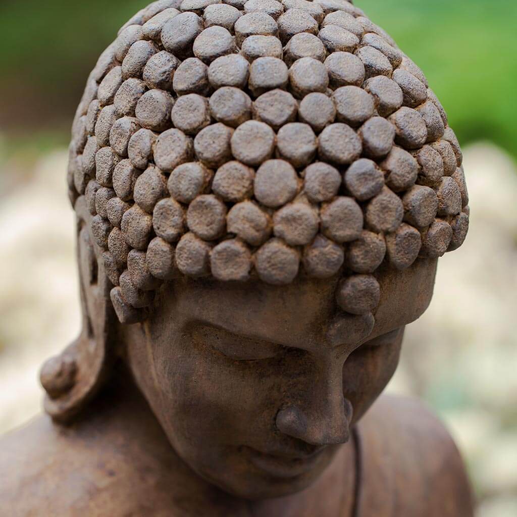 Lotus Buddha