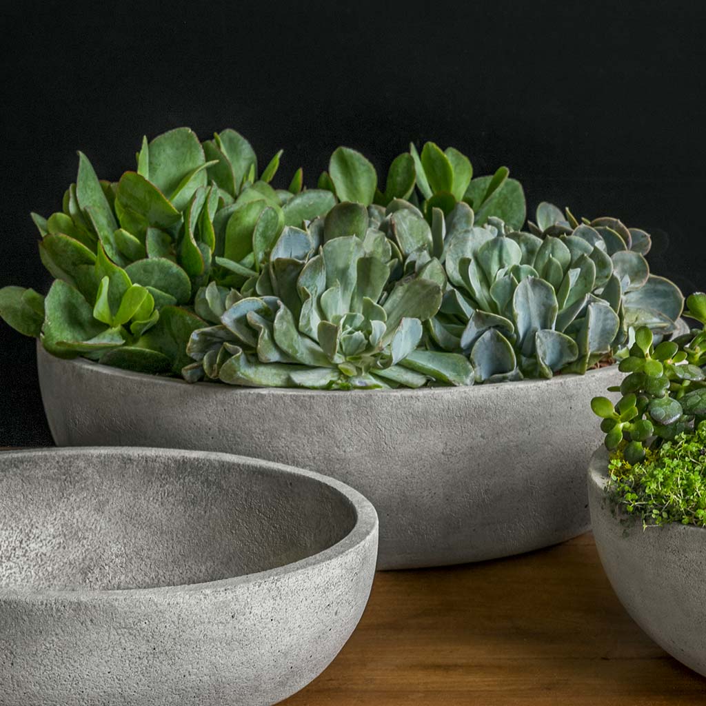 Terrace Bowl - Large