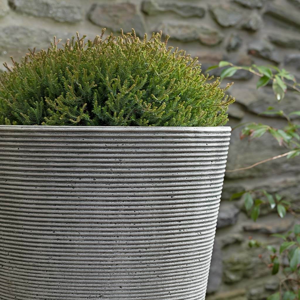 Pimlico Planter