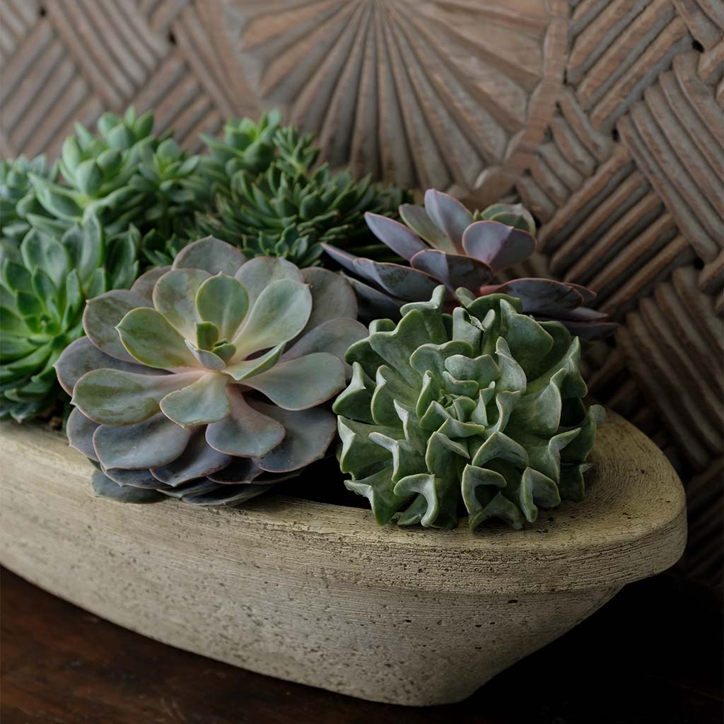 Barca Planter, Small