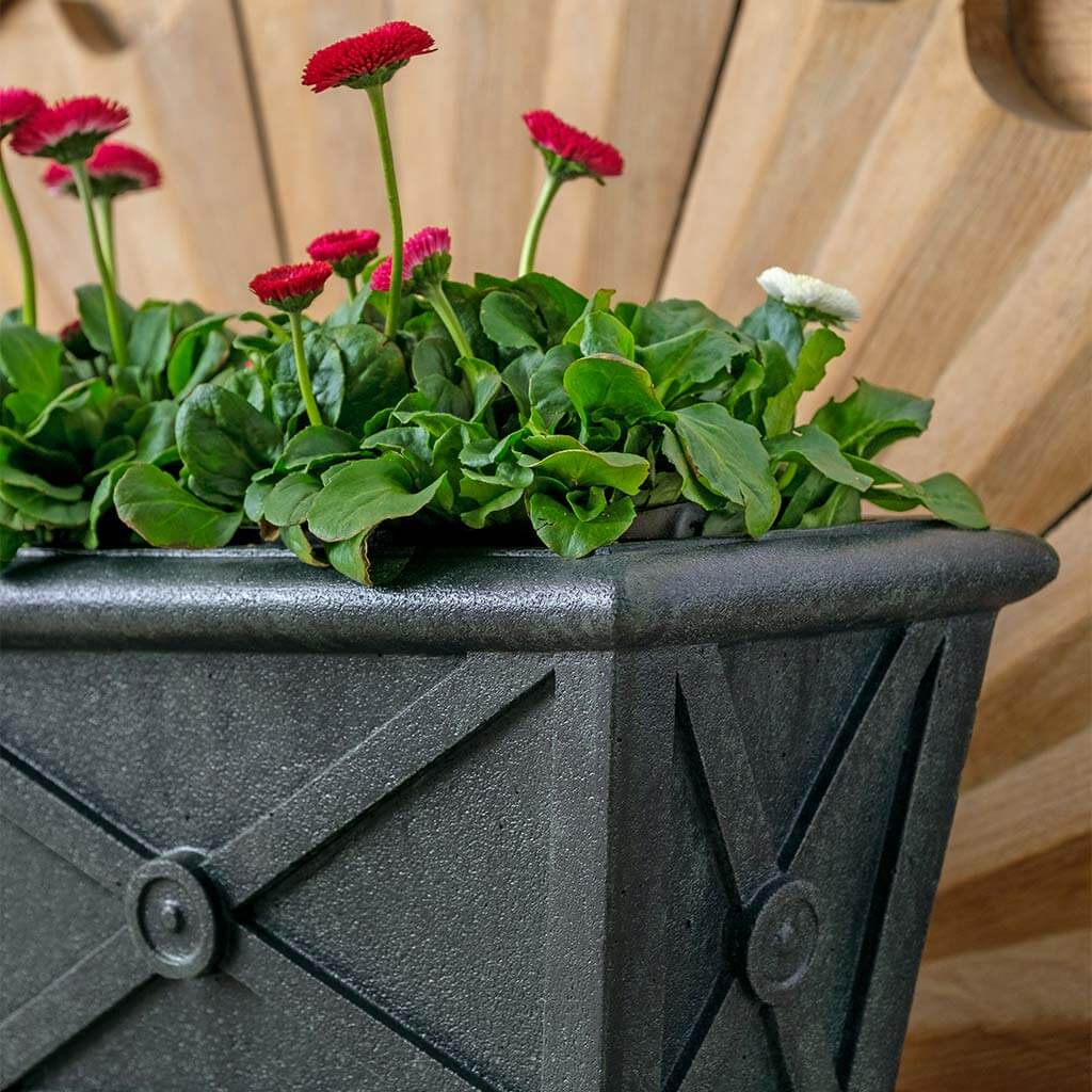 Directoire Windowbox