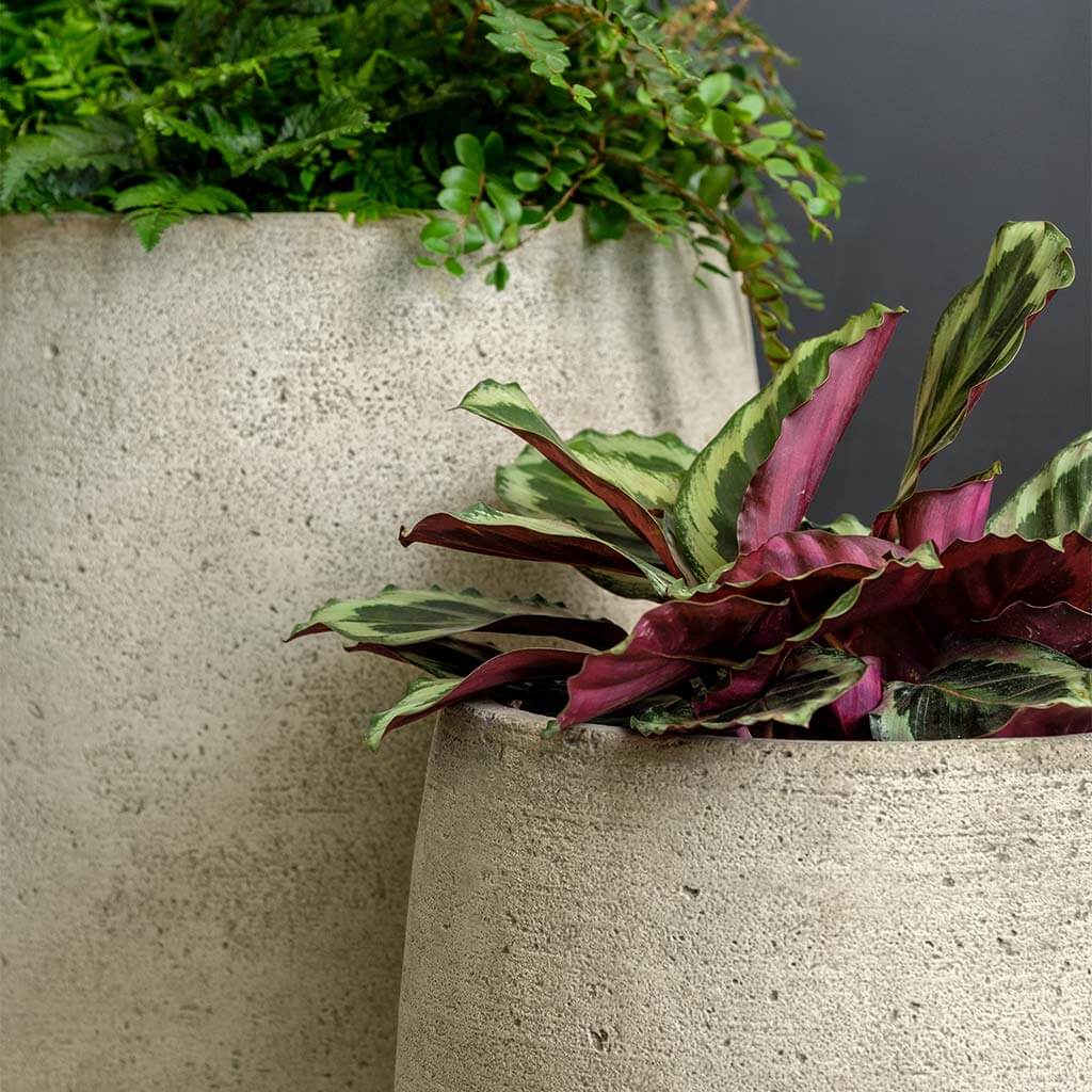 Bebel Planter, Tall