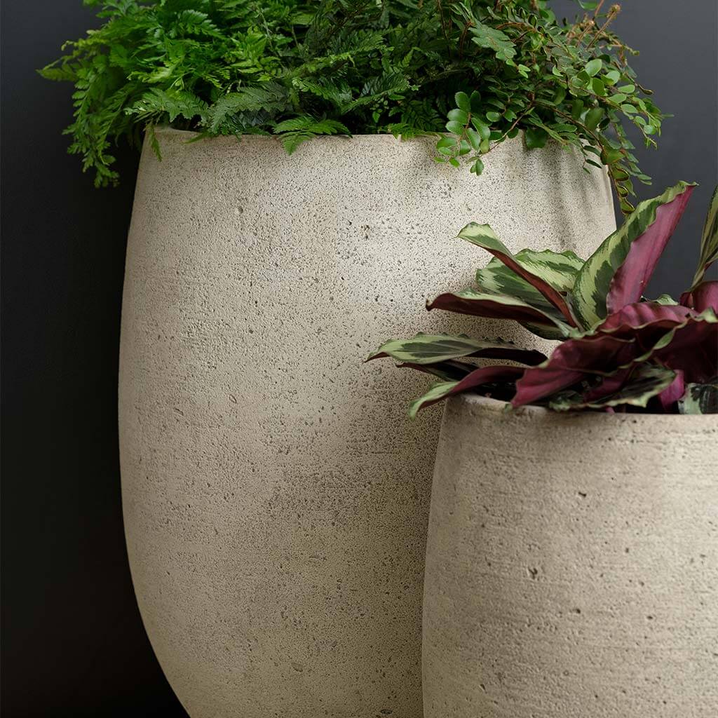 Bebel Planter