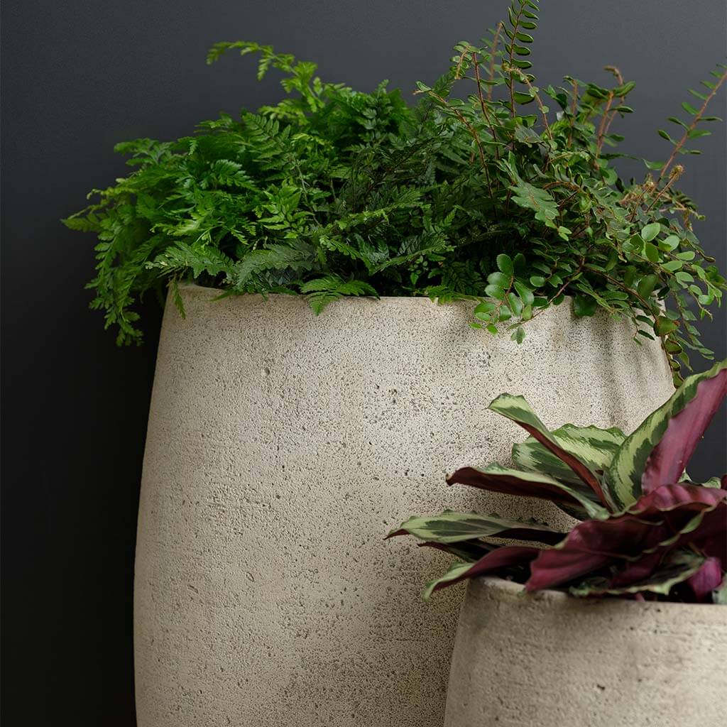 Bebel Planter