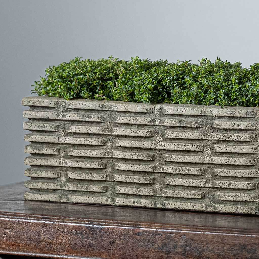 Weft Planter