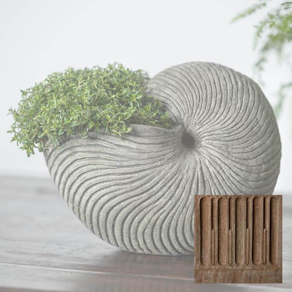 Ammonite Planter