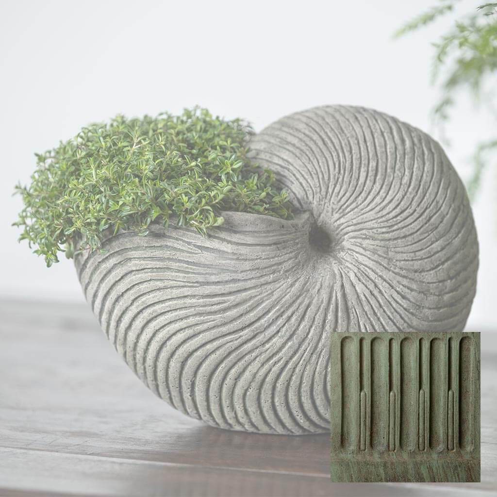 Ammonite Planter
