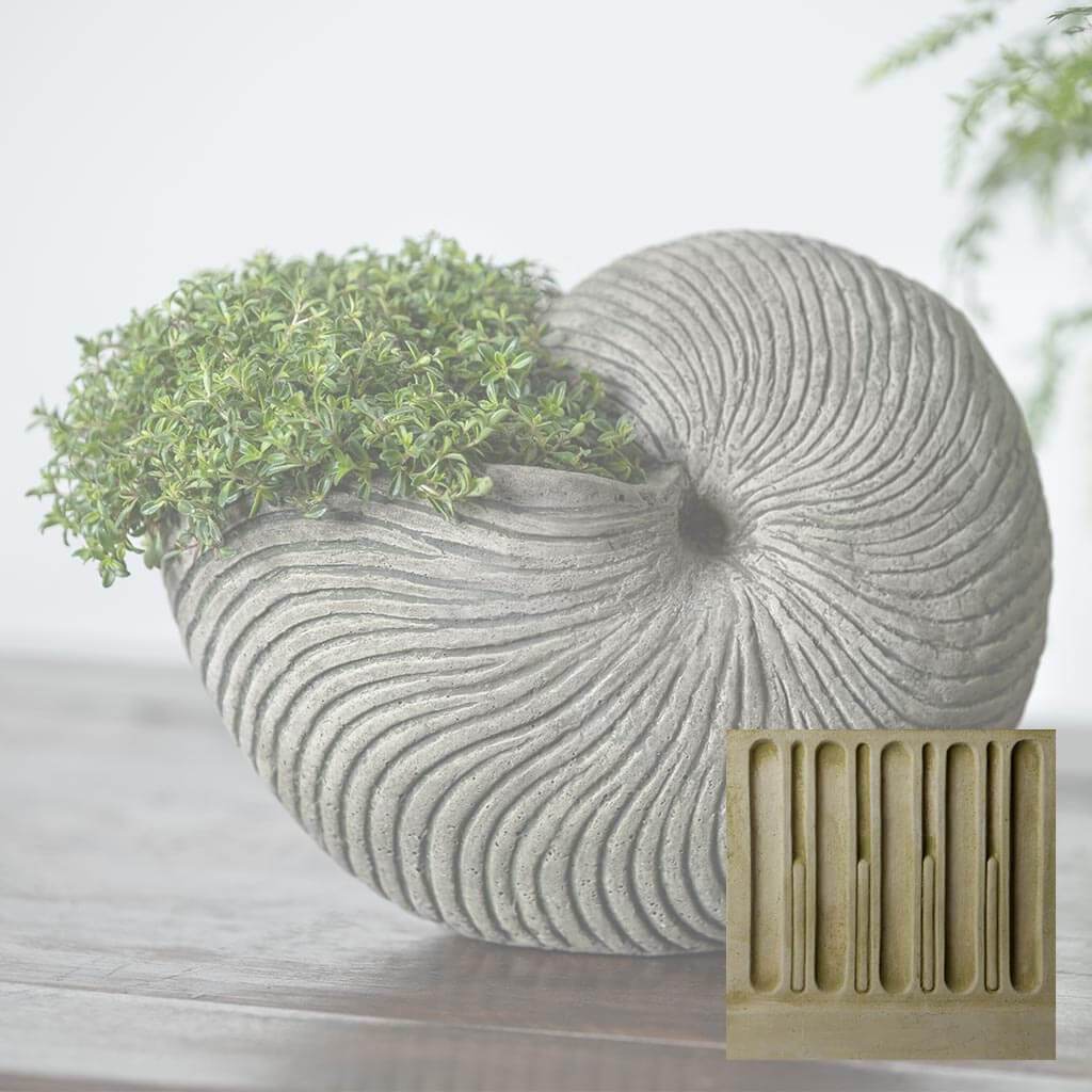 Ammonite Planter