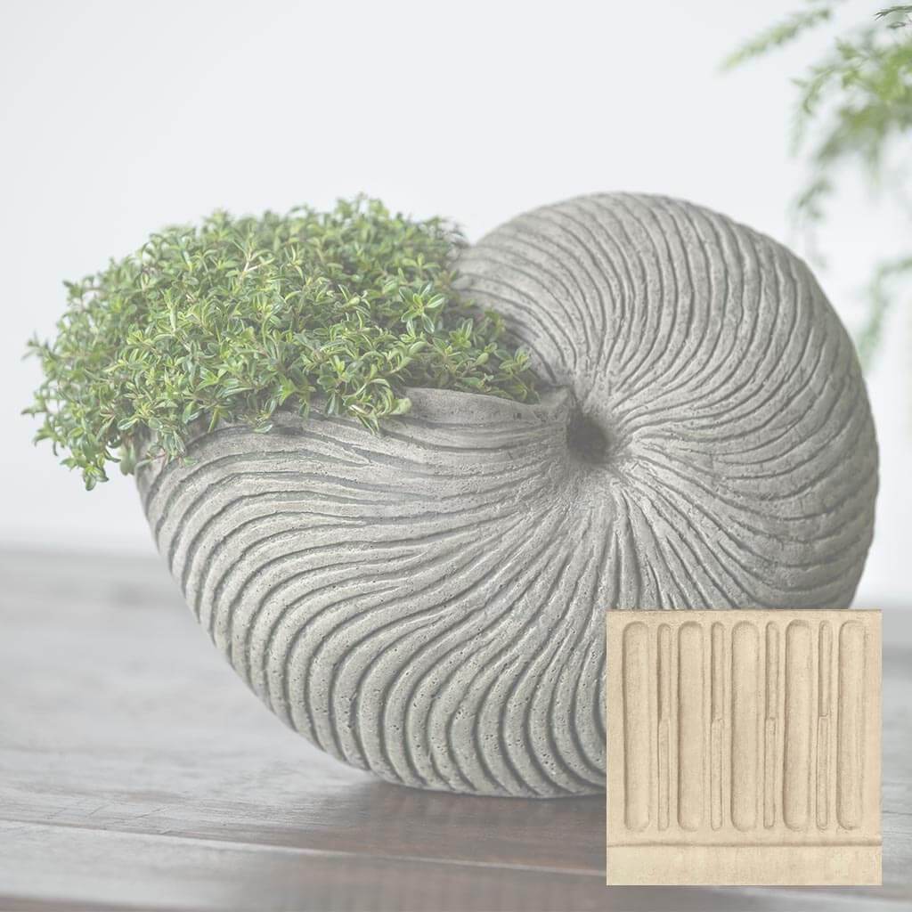 Ammonite Planter