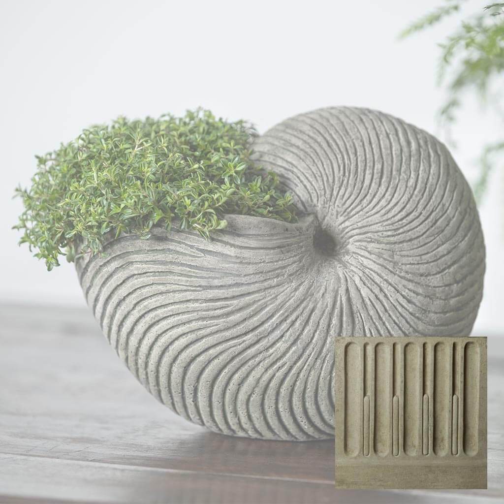 Ammonite Planter