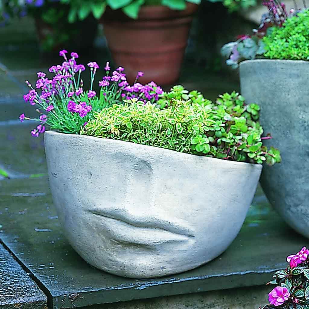 Faccia Planter - Medium