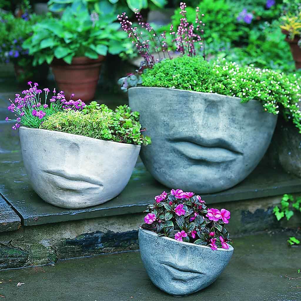 Faccia Planter - Small