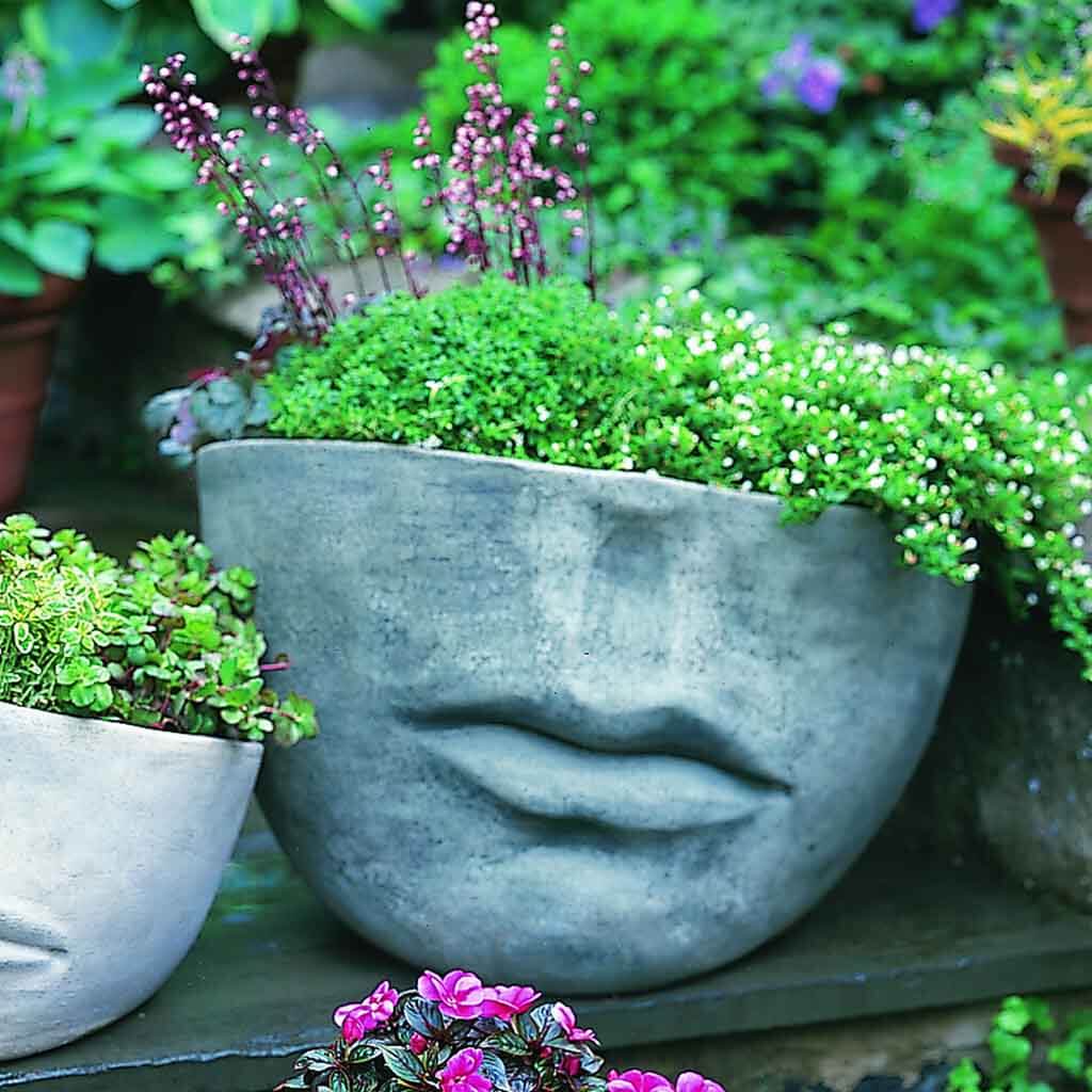 Faccia Planter - Large