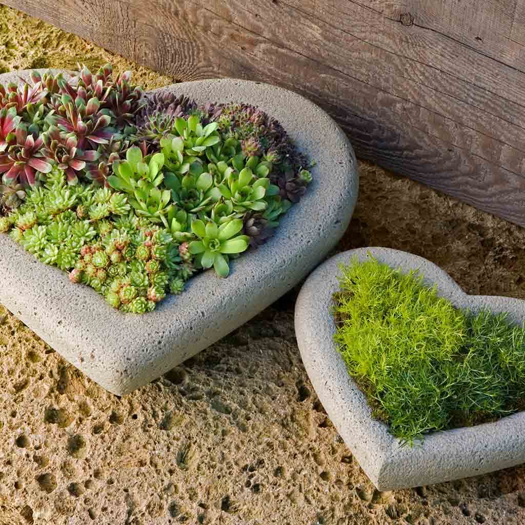 Heart Planter - Small
