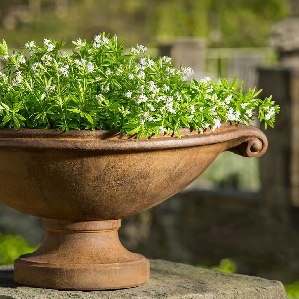 Medici Planter - Small