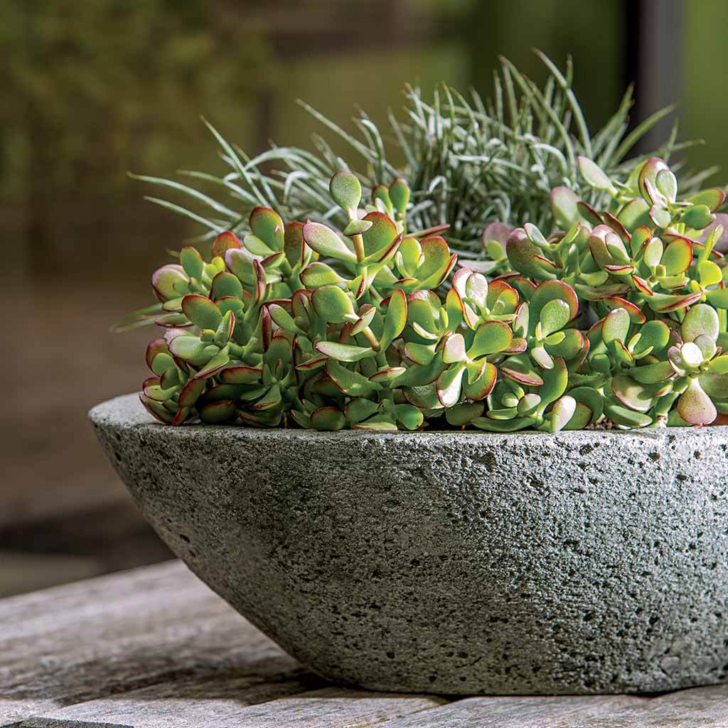 Celine Planter