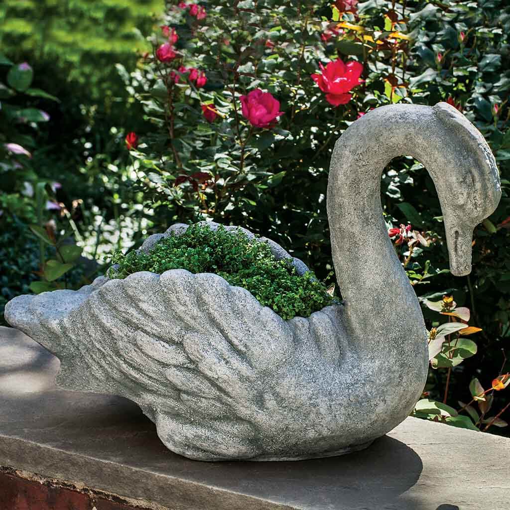 Newport Swan