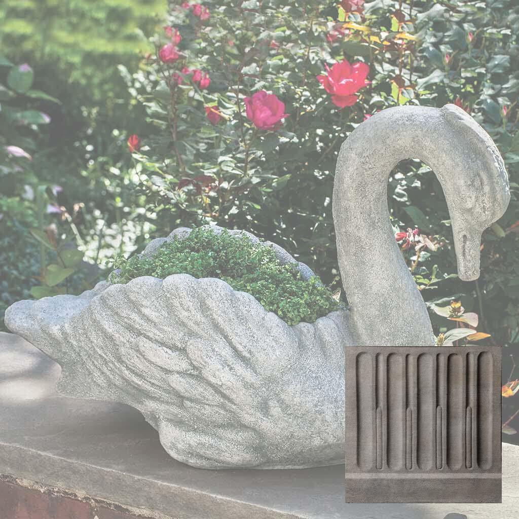 Newport Swan
