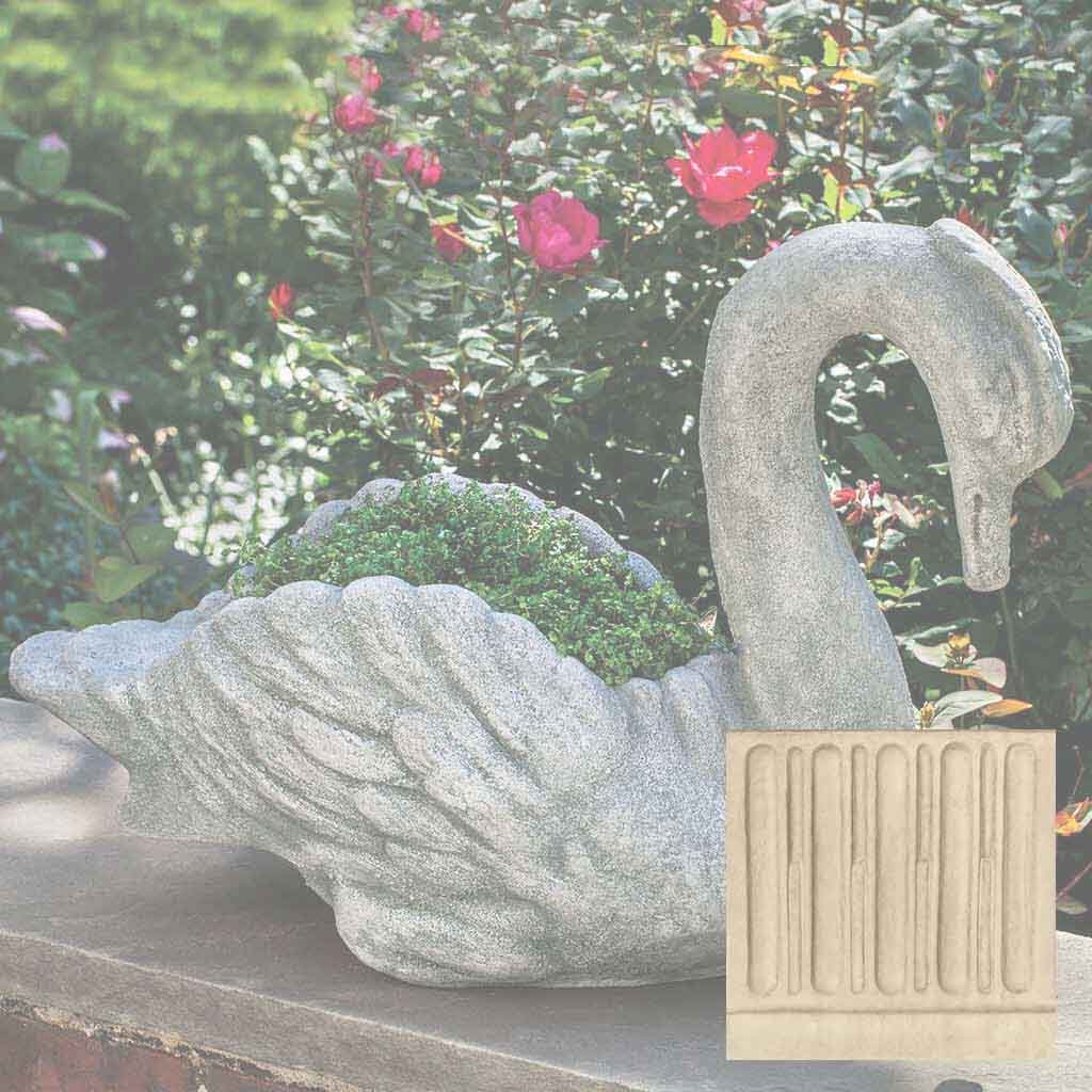 Newport Swan