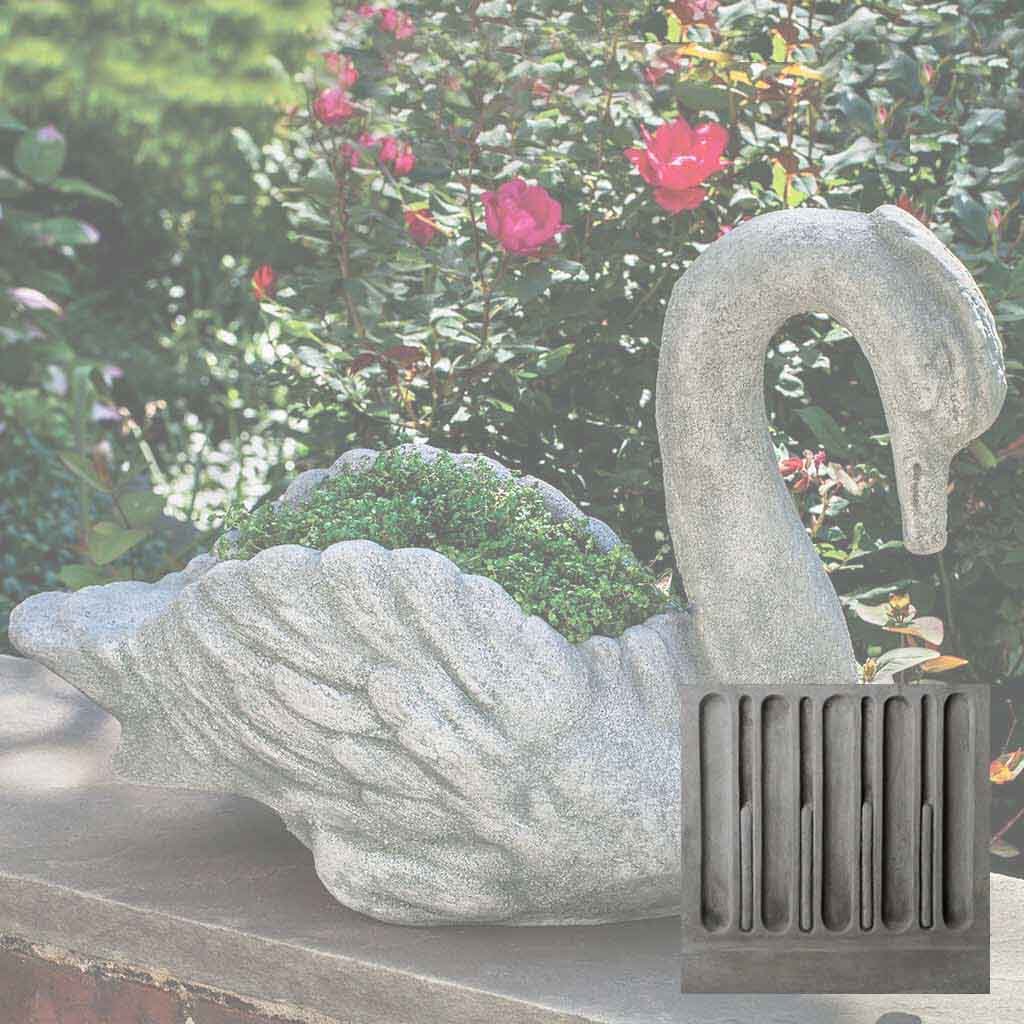 Newport Swan