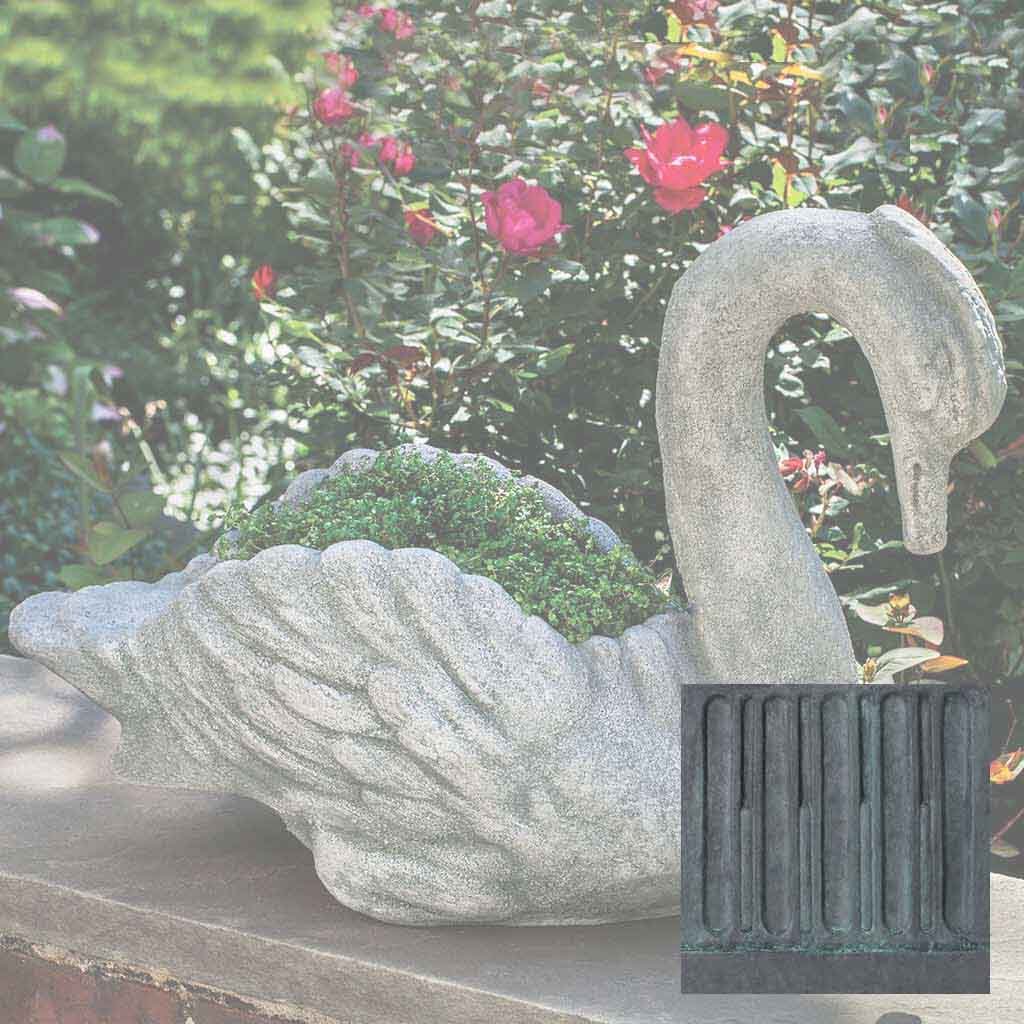 Newport Swan
