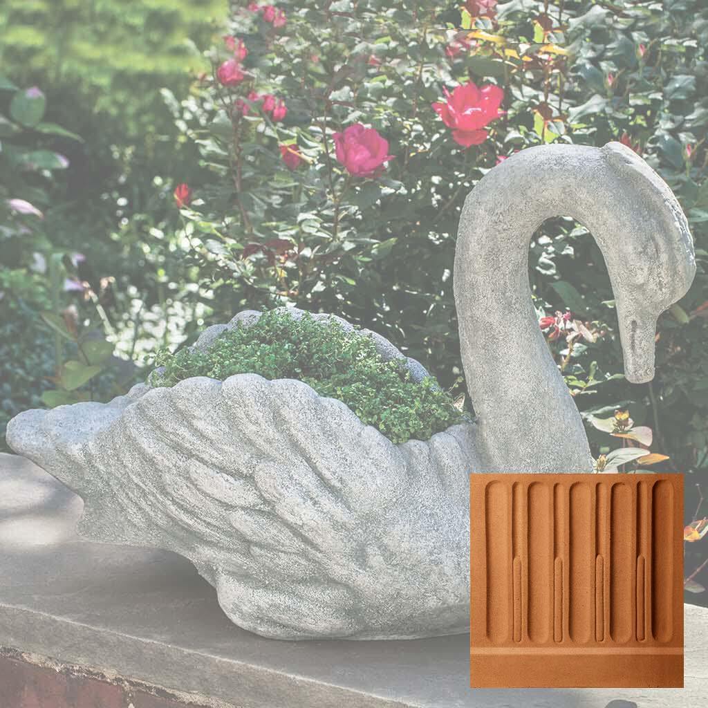 Newport Swan