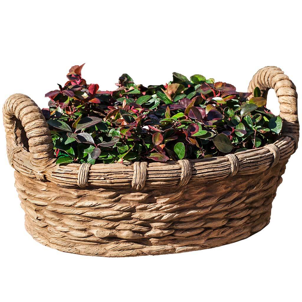 Provencal Basket Planter