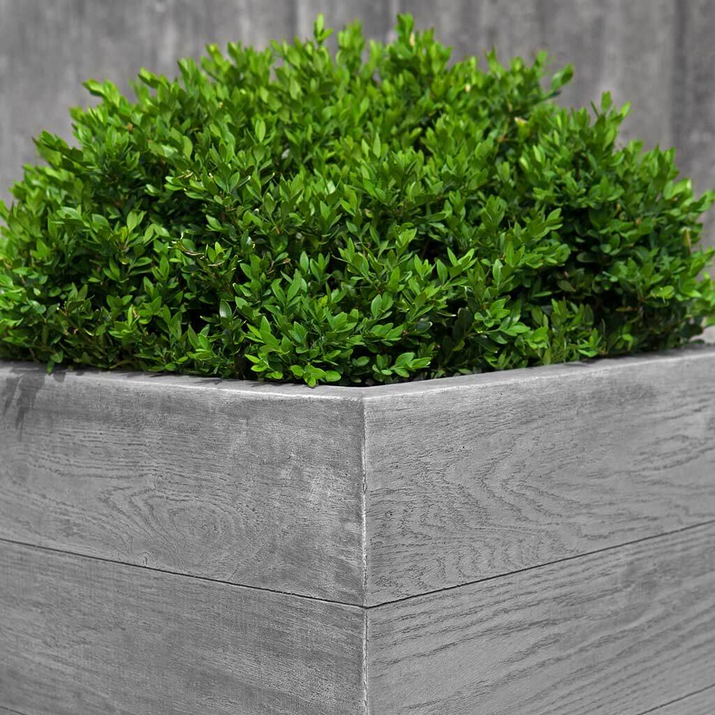Chênes Brut Tall Box Planter