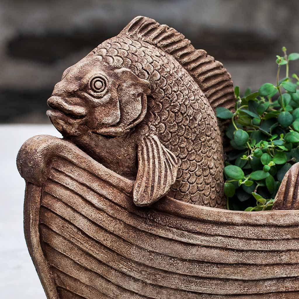 Fish Out of Water