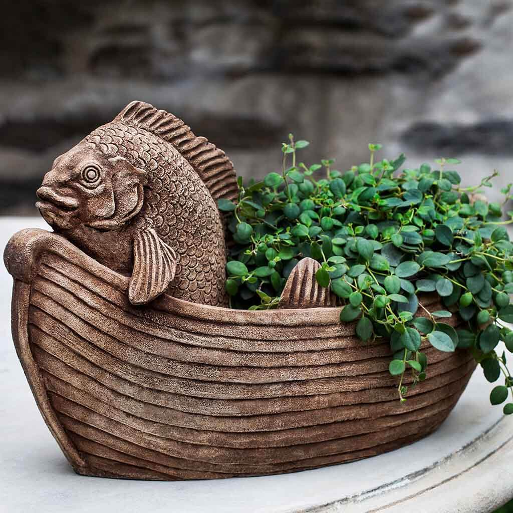 Fish Out of Water