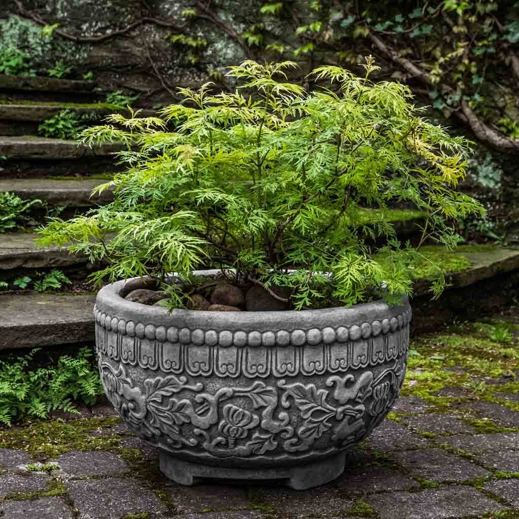 Jaipur Bowl