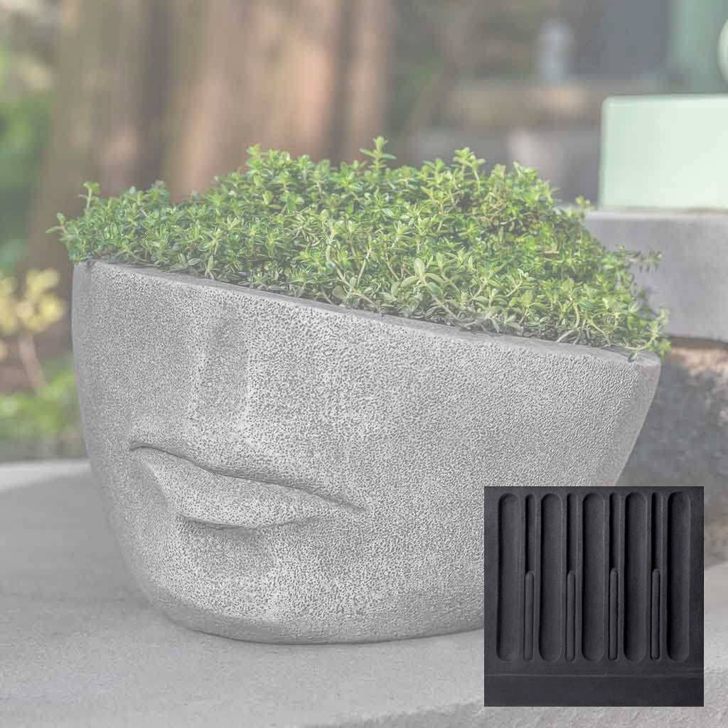 Faccia Planter, Extra Small