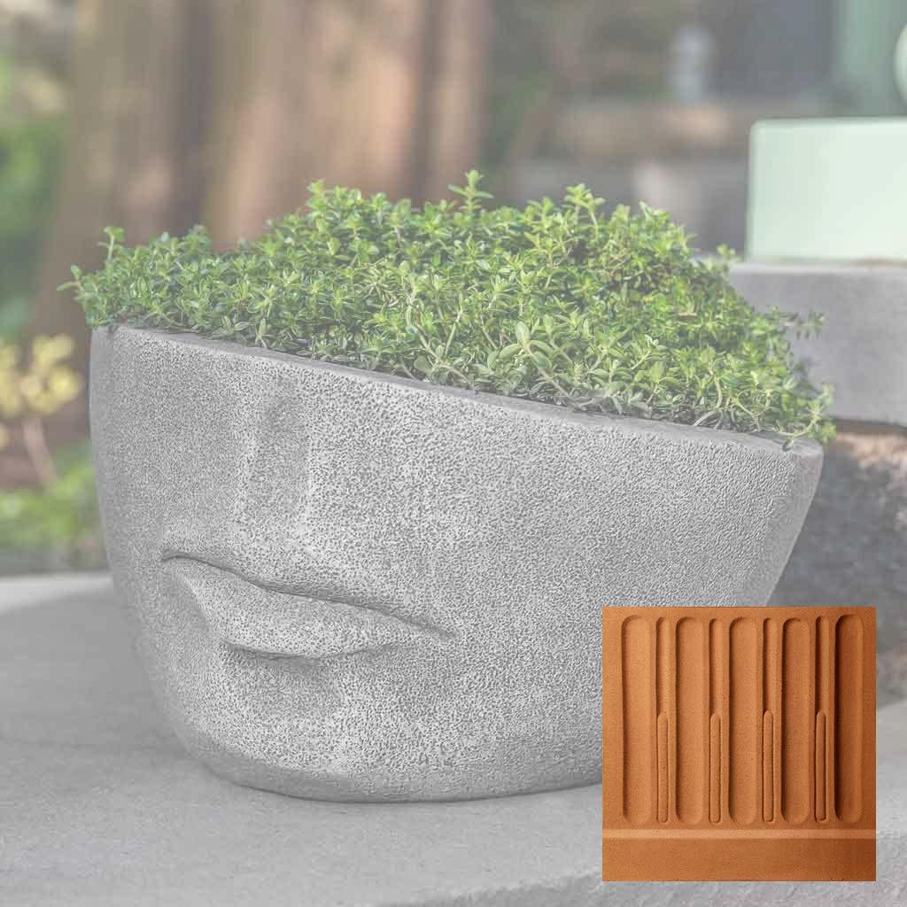 Faccia Planter, Extra Small