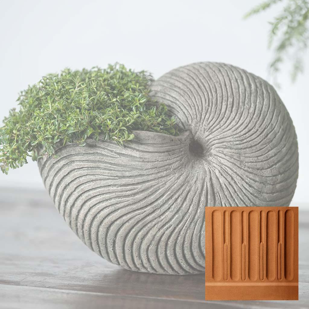 Ammonite Planter