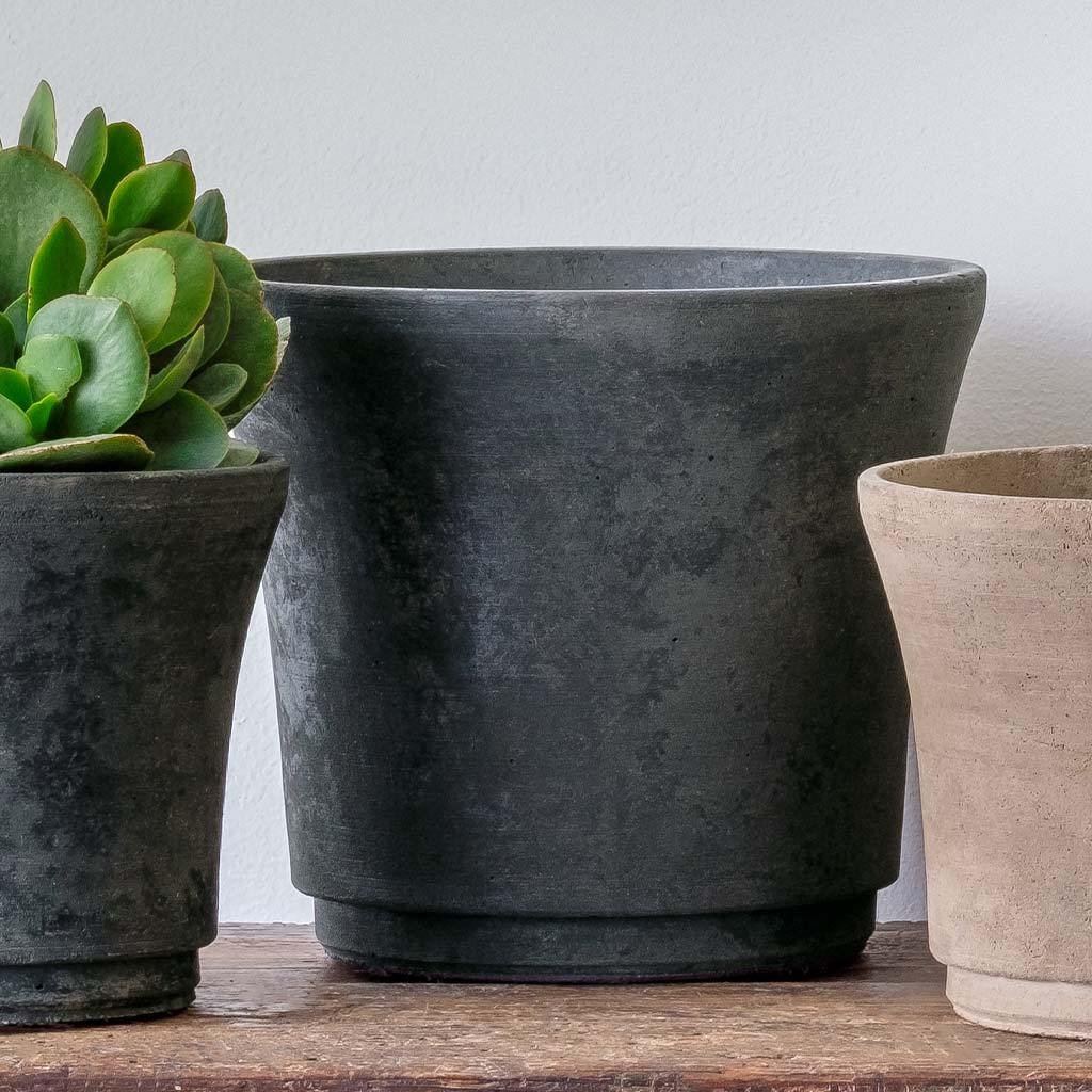 Cloche Planter - Terrace