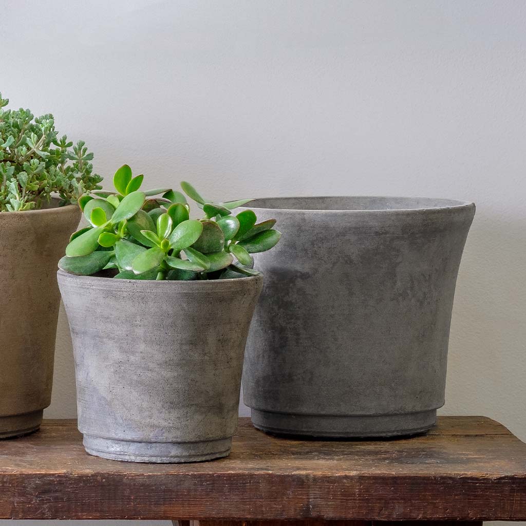 Cloche Planter - Terrace