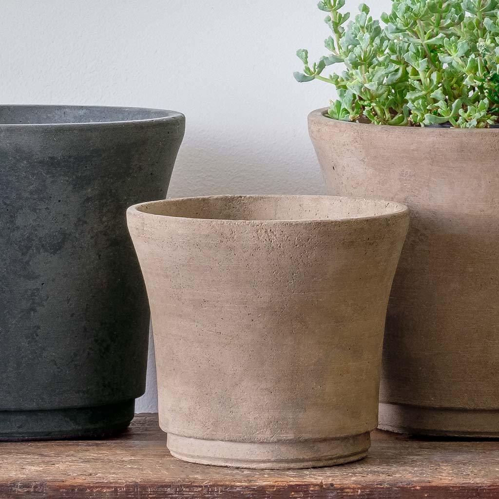Cloche Planter - Terrace