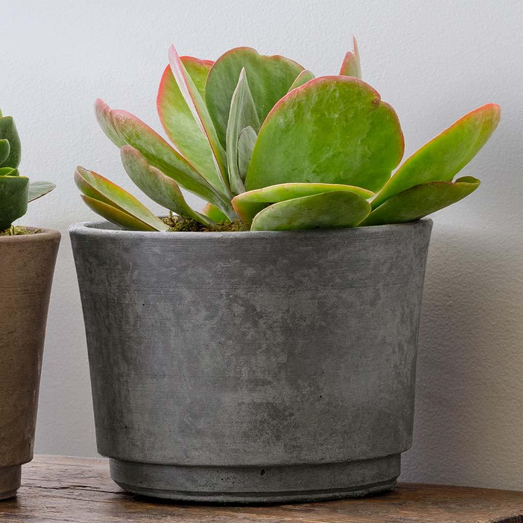 Cloche Planter - Terrace