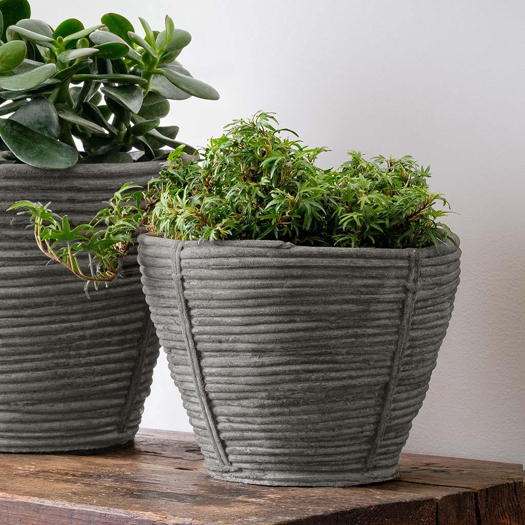 Reed Planter