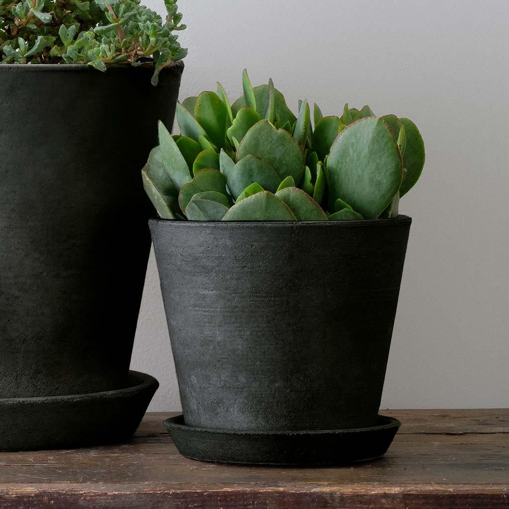 Essential Planter