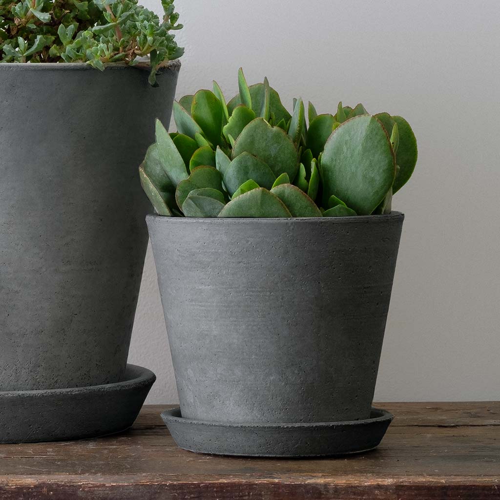 Essential Planter