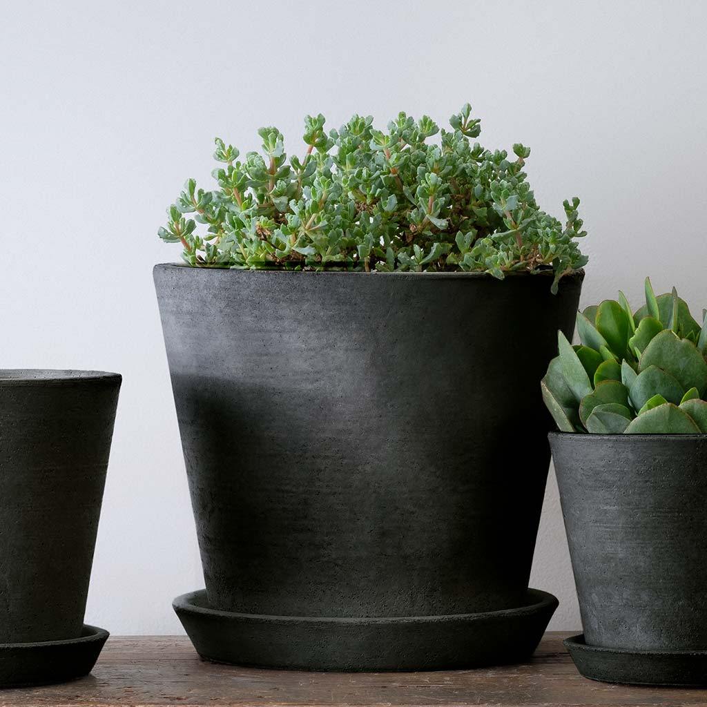 Essential Planter