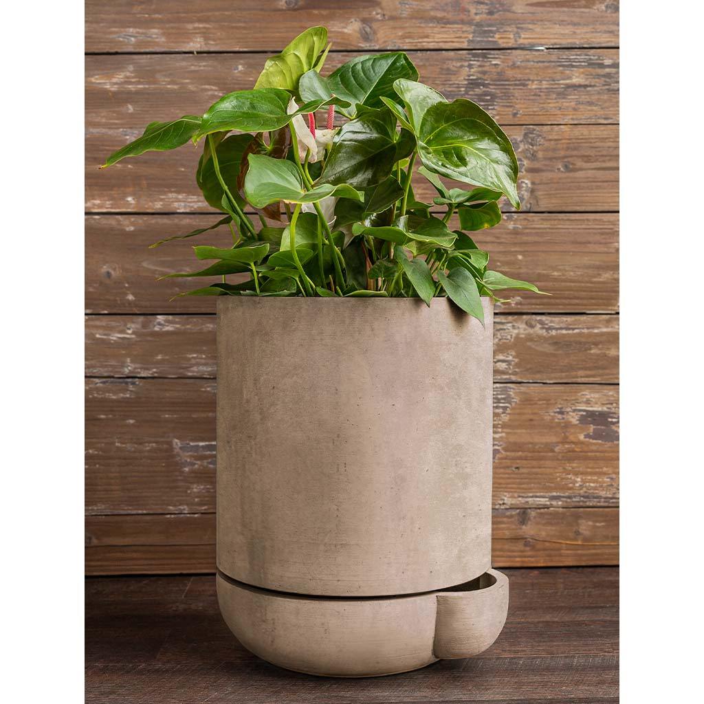 The Simple Pot