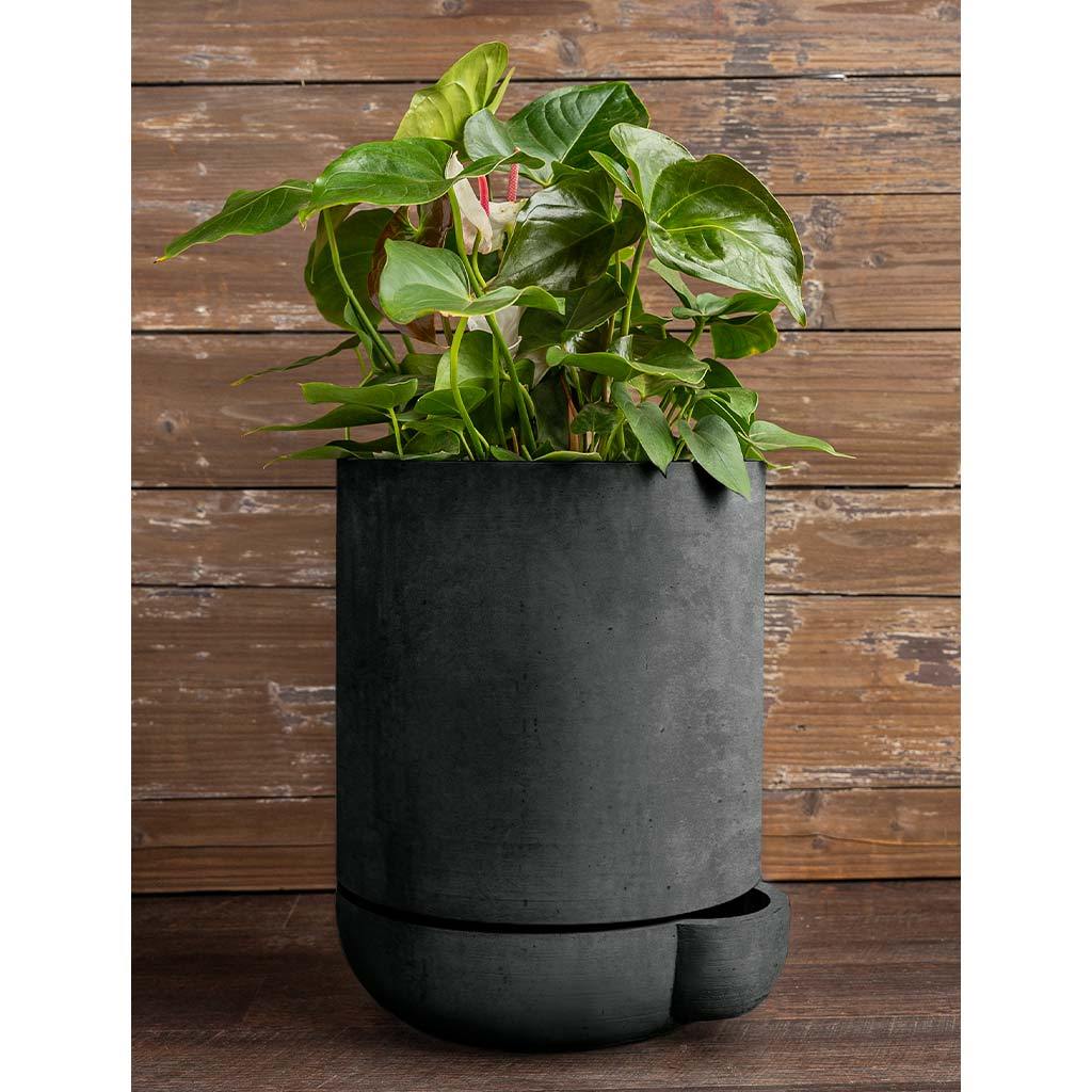 The Simple Pot