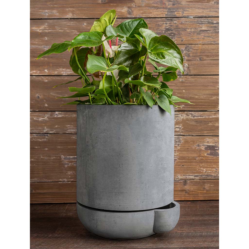 The Simple Pot