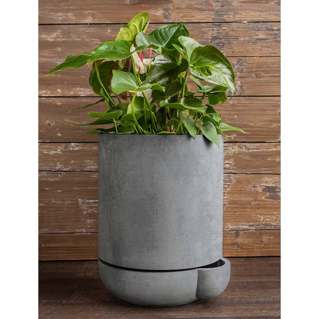 The Simple Pot