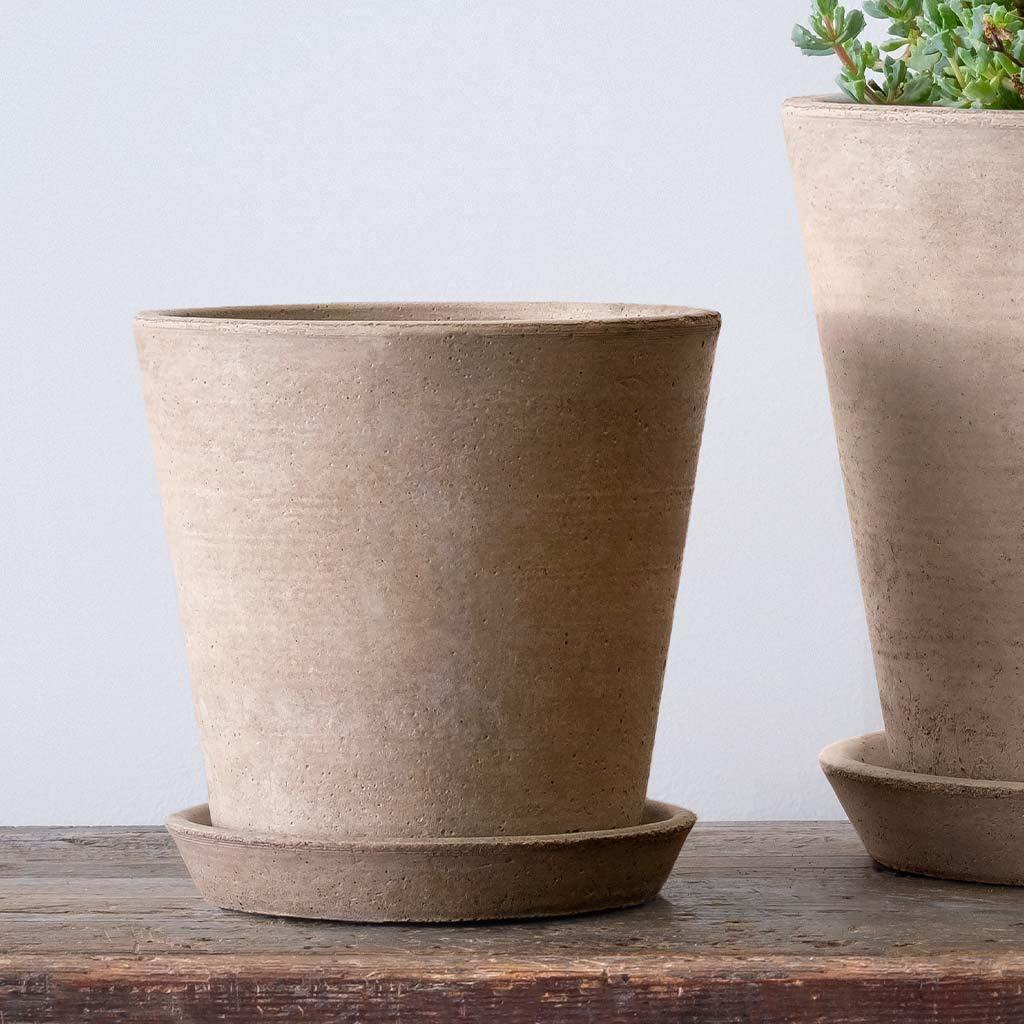 Essential Planter