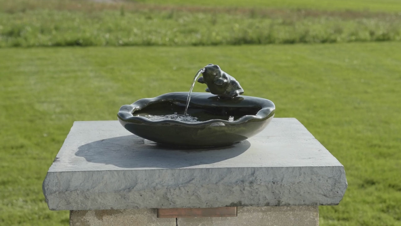 Ceramic Frog Solar Fountain