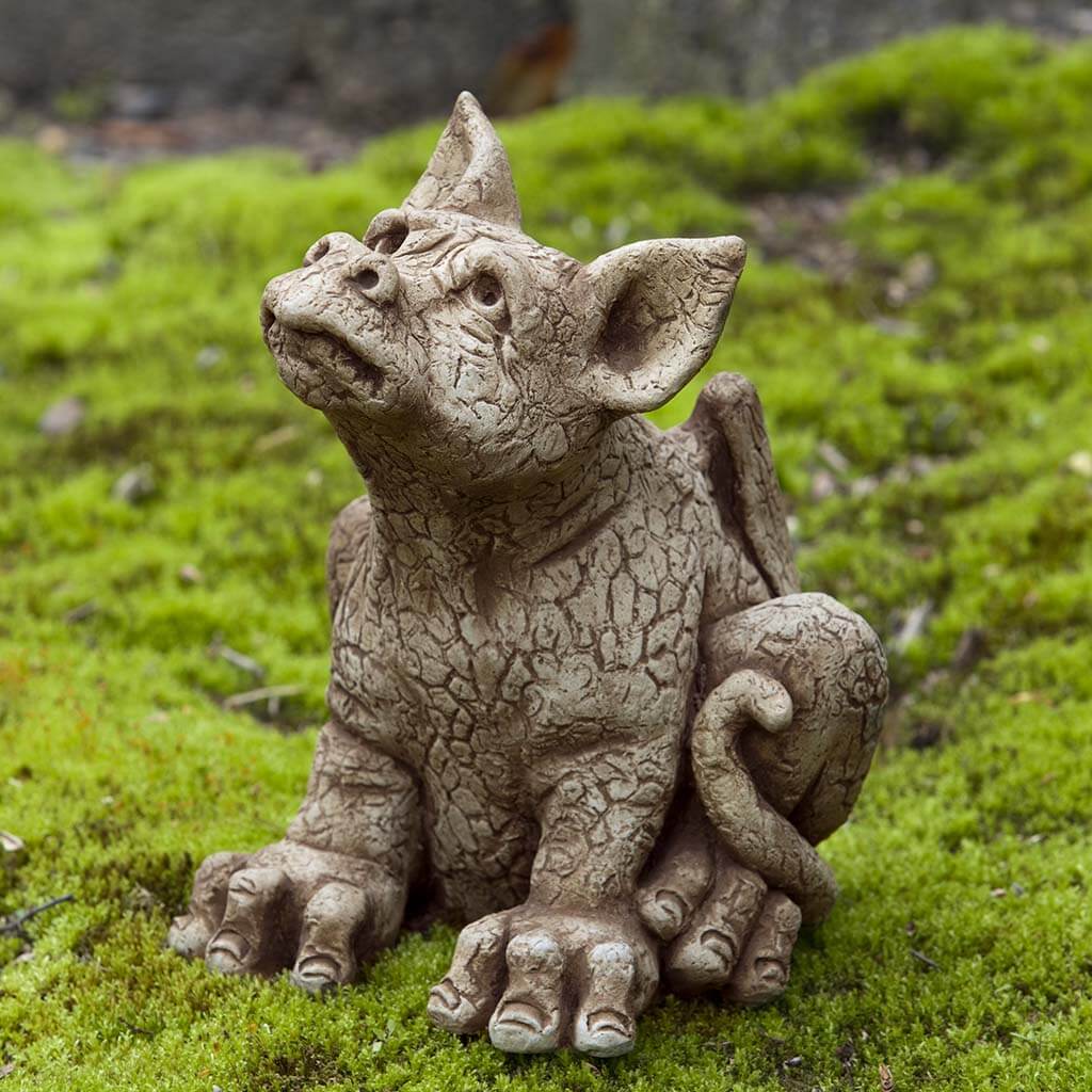 Paws