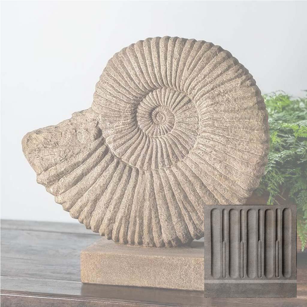 Ammonite, Medium